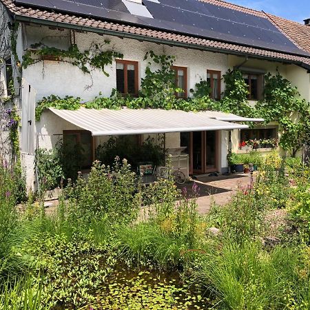 Ferienhaus Mit Naturgarten Dachsen Ngoại thất bức ảnh