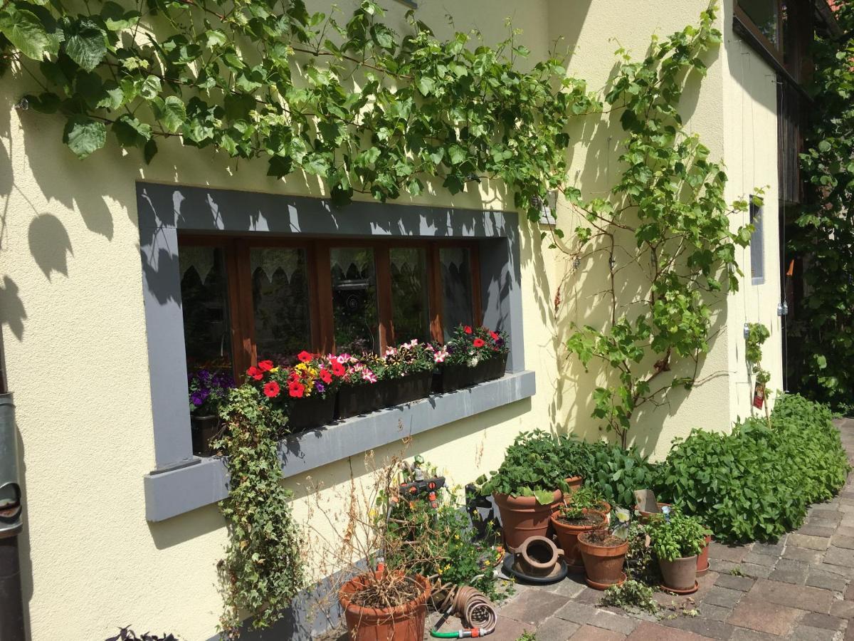 Ferienhaus Mit Naturgarten Dachsen Ngoại thất bức ảnh