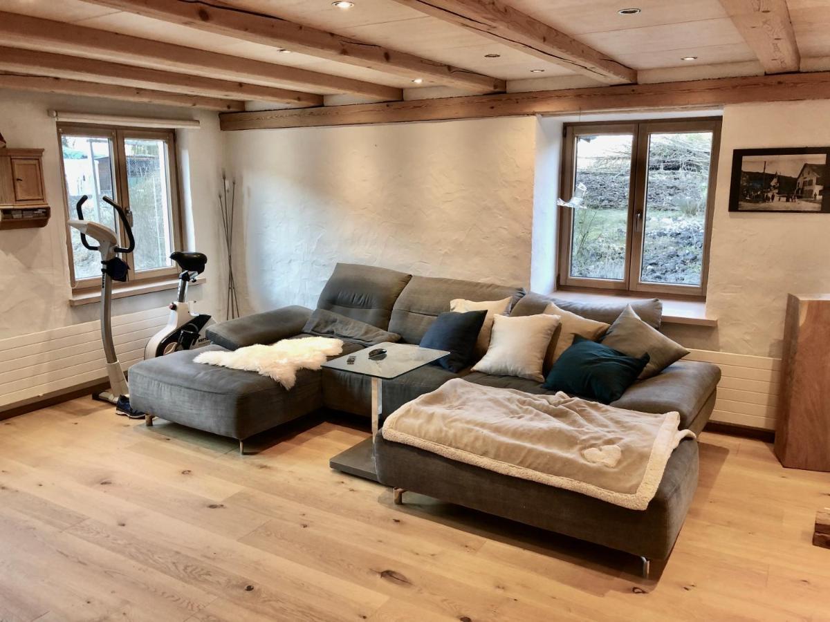 Ferienhaus Mit Naturgarten Dachsen Ngoại thất bức ảnh